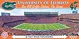 MasterPieces NCAA Florida Gators Stadium Panoramic Jigsaw Puzzle, 1000-Piece