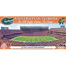 MasterPieces NCAA Florida Gators Stadium Panoramic Jigsaw Puzzle, 1000-Piece