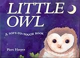 Little owl