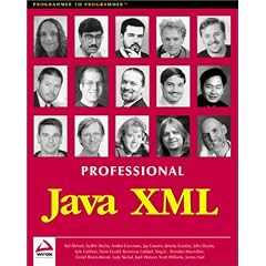 Professional Java XML (Programmer to programmer)
