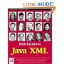 Professional Java XML