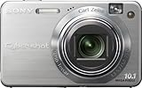 Sony Cybershot DSCW170 10.1MP Digital Camera with 5x Optical Zoom with Super Steady Shot (Silver)