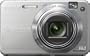 Sony Cybershot DSCW170 10.1MP Digital Camera with 5x Optical Zoom with Super Steady Shot (Silver)