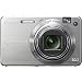 Sony Cybershot DSCW170 10.1MP Digital Camera with 5x Optical Zoom with Super Steady Shot (Silver)