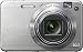 Sony Cybershot DSCW170 10.1MP Digital Camera with 5x Optical Zoom with Super Steady Shot (Silver)
