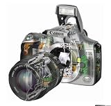 Canon EOS 300D Digital SLR Camera [6MP] - Body Only