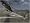 Battlefield 2: The Complete Collection (PC DVD)