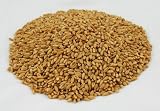 Hard Red Wheat, Organic - One Pound - Todd's Seeds - Catgrass Wheatgrass