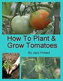 How to Plant and Grow Tomatoes