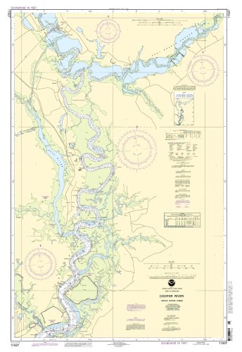 Buy 11527--Cooper River above Goose Creek by OceanGrafix