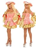 Renaissance Victorian Marie Antoinette Costume - MEDIUM/LARGE