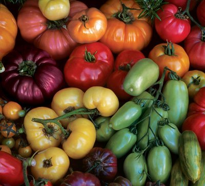 Rainbow Heirloom Mix Tomato - 50 Seeds
