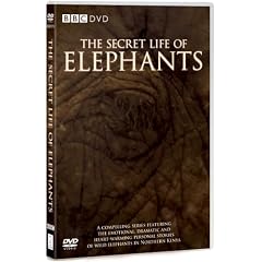 The Secret Life of Elephants [DVD]