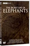 The Secret Life of Elephants [DVD]