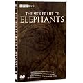 The Secret Life of Elephants [DVD]