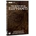 The Secret Life of Elephants [DVD]