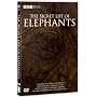 The Secret Life of Elephants [DVD]