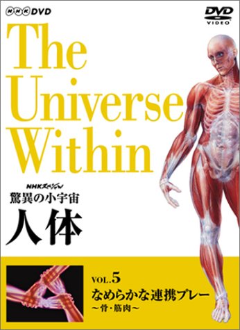 NHKスペシャル 驚異の小宇宙 人体 Vol.5「なめらかな連携プレー~骨・筋肉~」 [DVD] by 久石譲