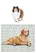 Shetland Sheepdog Glass Cutting Board