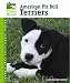 American Pit Bull Terriers (Animal Planet Pet Care Library) by Elaine Waldorf Gewirtz