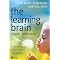 Theory of Mind
