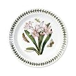 Portmeirion Botanic Garden Salad Plates 8.5" Set of 6