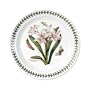 Portmeirion Botanic Garden Salad Plates 8-1/2-Inch, Set of 6