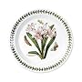 Portmeirion Botanic Garden Salad Plates 8" Set of 6