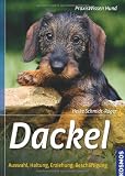 Dackel: Auswahl, Haltung, Erziehung, Beschäftigung