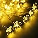 Ehome Solar String Light, 50LED 23FT Outdoor Waterproof Flower Light with Light Sensor for Garden Wedding Party Festival Decor (Warm white)