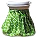 Designer Retro Ice Bag -Check (green)