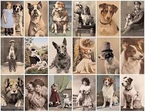 Postcard Dogs