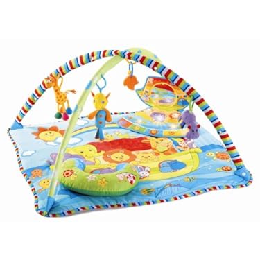 Tiny Admire Kick N Learn Gymini Activity Gym