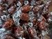 Candy Root Beer Barrels, 1 Lb. Bag