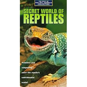 Bill Burrud Explores the Amazing Animal World: Secet World of Reptiles [VHS]