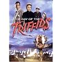 The Day of the Triffids