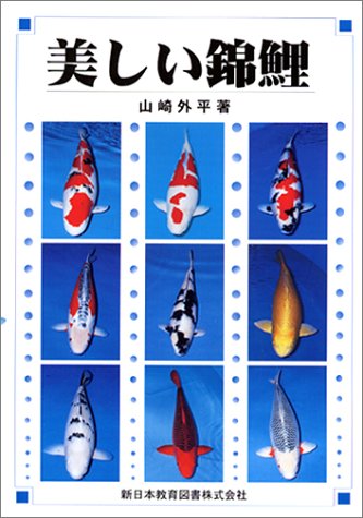美しい錦鯉