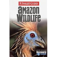 Amazon Wildlife Insight Guide (Insight Guides)