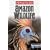 Amazon Wildlife Insight Guide (Insight Guides)