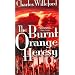Burnt Orange Heresy