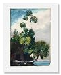 Winslow Homer, Palm Trees, Florida