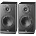 Acoustic Research Status S10 - Left / right channel speakers - 2-way - black ash