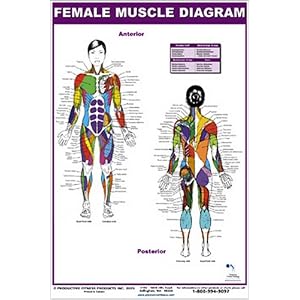 huge ass femalemuscle pictures