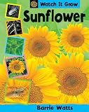 Sunflower (Watch it Grow)