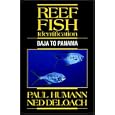 Reef Fish Identification: Baja to Panama by Paul Humann and Ned DeLoach