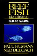 Reef Fish Identification: Baja to Panama