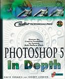 Photoshop 5 In Depth: New Techniques Every Designer Should Know for Today's Print, Multimedia, and Web