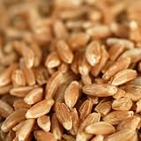 Farro (Emmer) Organic Wholegrain -Wash. by ChefShop.com