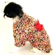 Strickpulli mit Knochen für Hunde - rot - Hundepulli in vielen Größen - Dogs Stars