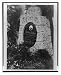 Historic Print (L): [Tombstone of Alois and Klara Hitler]